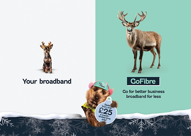 Go Fibre Logo